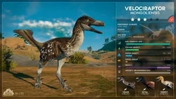 Velociraptor Species Profile, as seen in the August 2019 Devlog.