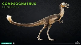 Viv Compsognathus