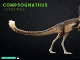 Compsognathus