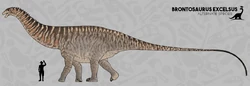 Concept art of Brontosaurus