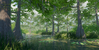 Biomes