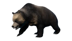 Ursus Ecliptic.png (438 KB) Ecliptic