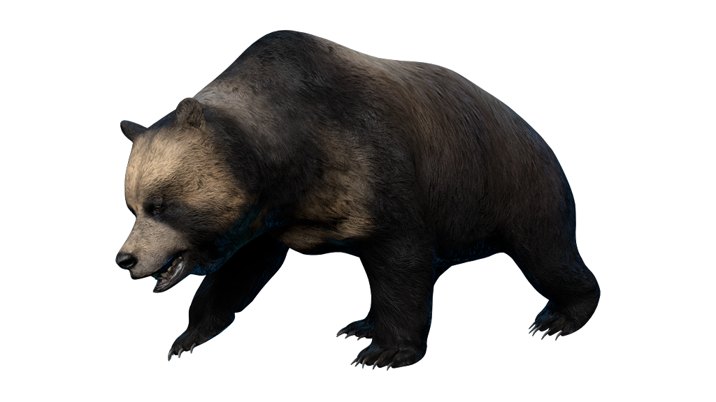 prehistoric predators bear