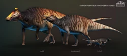 Outdated Edmontosaurus ontogeny.