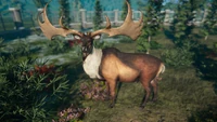 A Megaloceros in game, as seen in the September 2019 Devlog