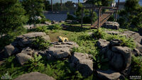 Smilodon populator resting in its enclosure.