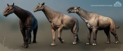 Old Paraceratherium skins, as seen in the March 2020 Devlog.