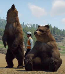 Mau2Ursus.png (993 KB) Two Ursus and a Laborer, with the one on the left showcasing one of the most intimidating bear behaviors, and the other showing off one of its least.