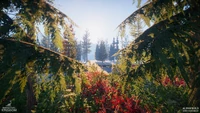 Boreal2.jpg (1.8 MB)