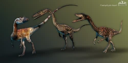 Old Coelophysis skins.
