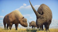 ElasmotheriumHerd.png (4.81 MB) A herd Elasmotherium, as seen in the January 2024 Devlog.