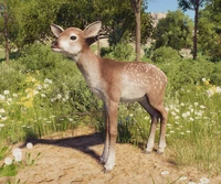 Redesigned Megaloceros faun