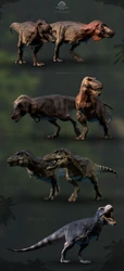 All Tyrannosaurus skins including "Tyrannosaurus bataar", as seen in the April 2020 Devlog.