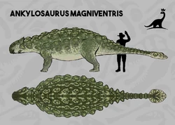 Marsh skin concept art.