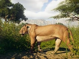 Panthera