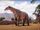 Paraceratherium
