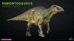 Website render of E. annectens