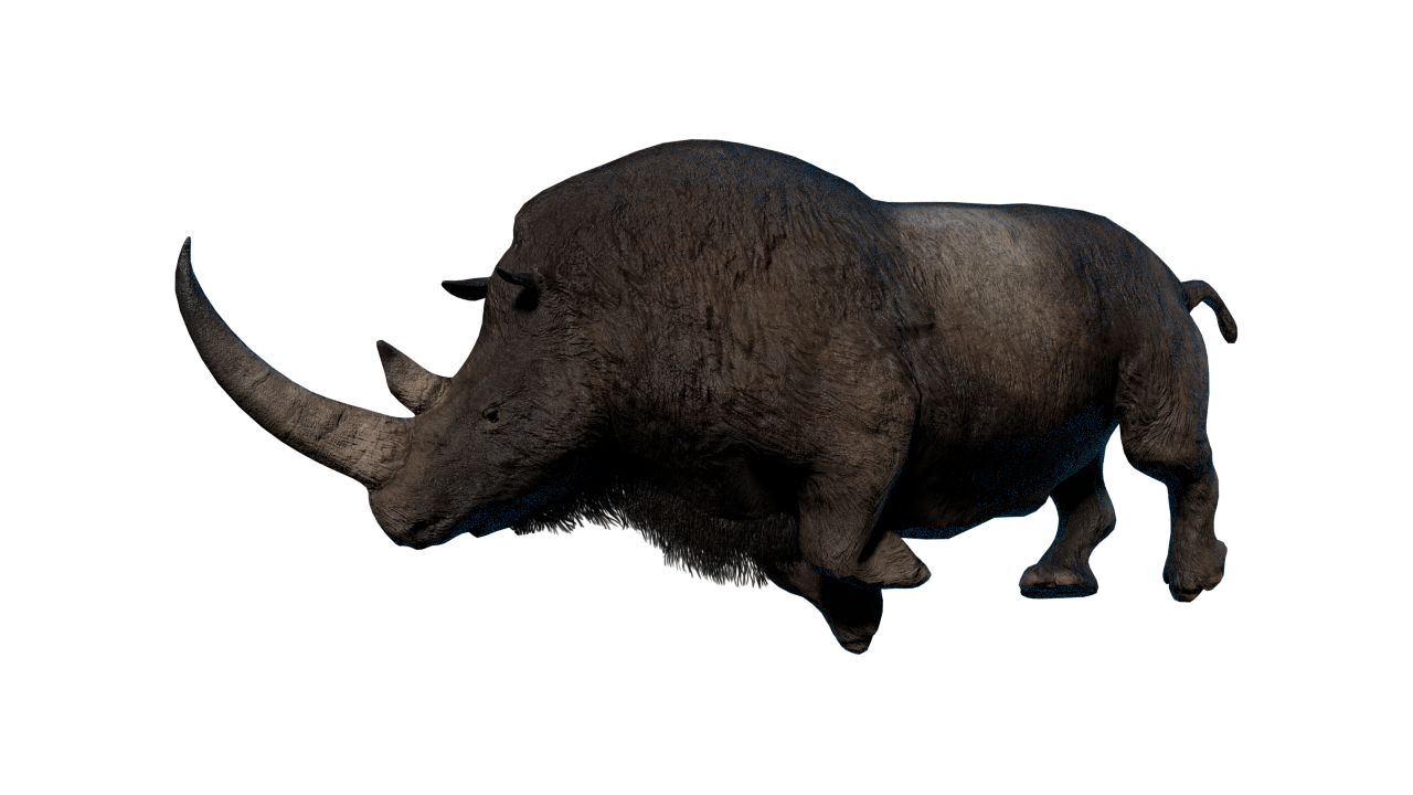 prehistoric rhino