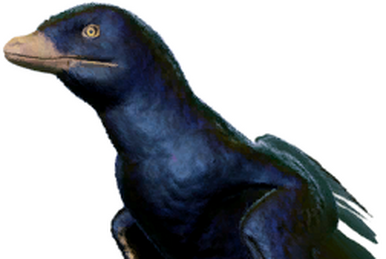 Deinocheirus, Prehistoric Kingdom Wiki