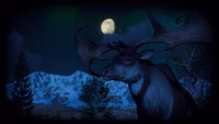 A male Geimhreadh Megaloceros in moonlight.