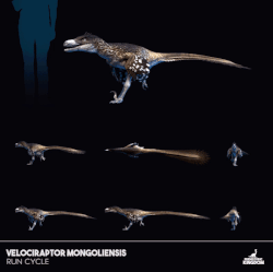 Velociraptor Run Animation, as seen in the May 2020 Devlog.