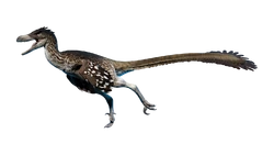 Outdated render of the "Velox" skin.