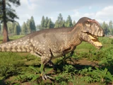 Carcharodontosaurus