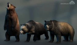 Ursus skins, as seen in the September 2019 Devlog.
