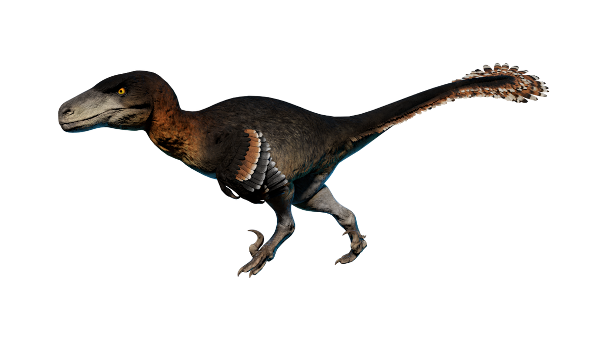 Utahraptor Prehistoric Kingdom Wiki Fandom