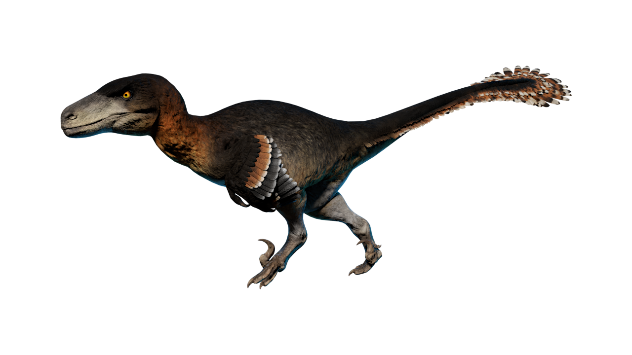 utahraptor velociraptor