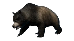 Ursus Grotto.png (438 KB) Grotto