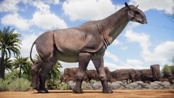 P. transouralicum walking