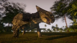 A worms eye view of an Ankylosaurus in a tropical environment. (Outdated model)