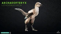 Viv Archaeopteryx.png (1.74 MB) Website render of Archaeopteryx
