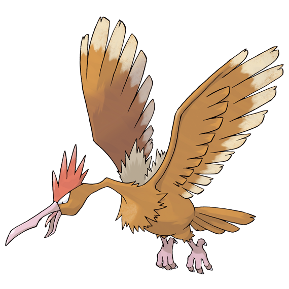 オニドリル | PKM Wiki | Fandom