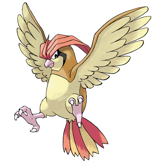 ピジョン | PKM Wiki | Fandom