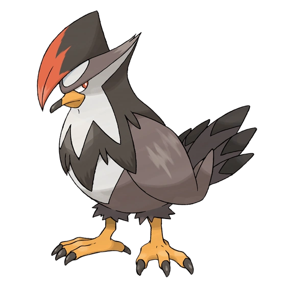 latest?cb=20200226031522&path-