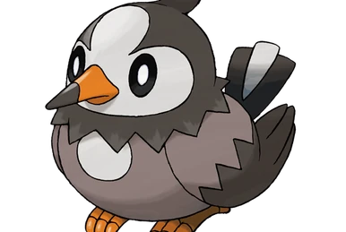 チコリータ | PKM Wiki | Fandom