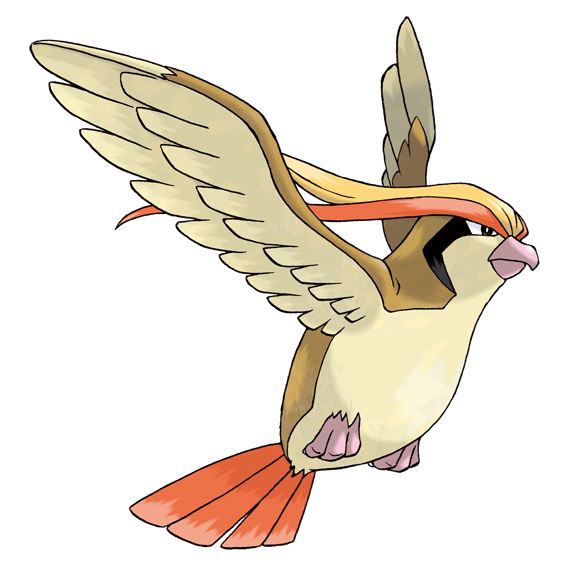 ピジョット | PKM Wiki | Fandom