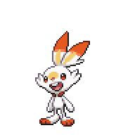 Scorbunny - #813 -  Pokédex