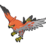 Talonflame, Wiki Pokédex