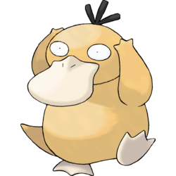 Psyduck | Pokemon Collectors Wiki | Fandom