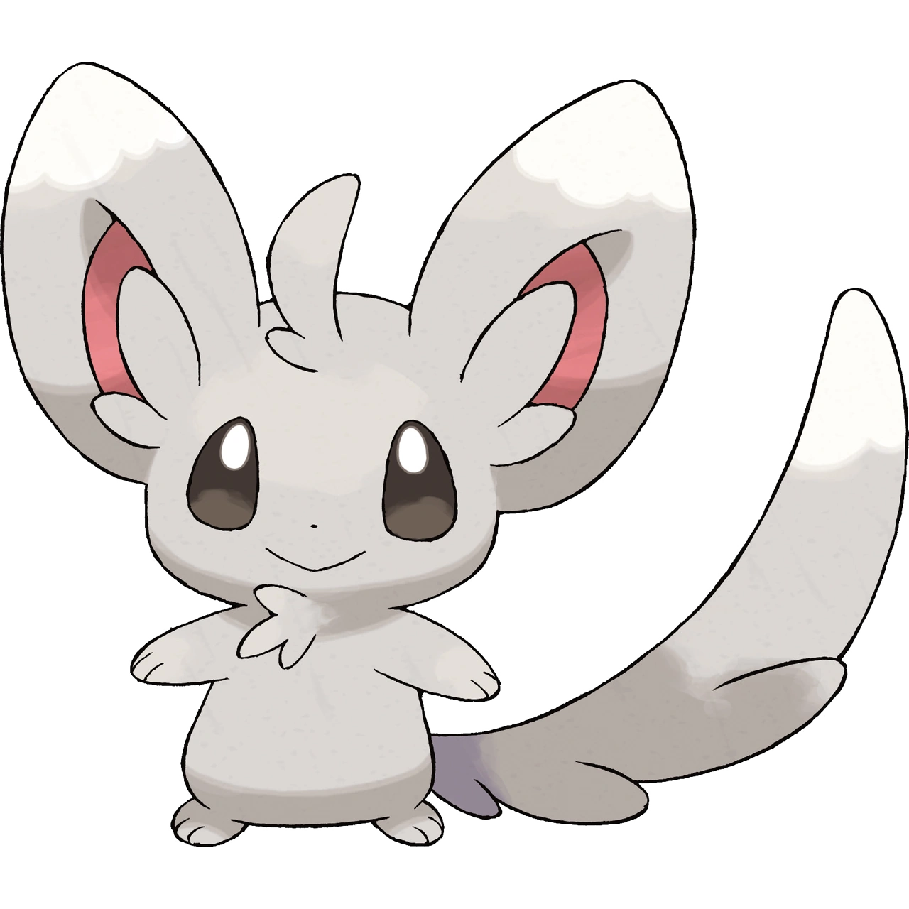 Minccino | Pokemon Collectors Wiki | Fandom