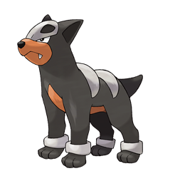 Houndour | Pokemon Collectors Wiki | Fandom