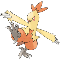 Combusken Pokemon Collectors Wiki Fandom