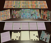 GB Pocket Card - Punchouts
