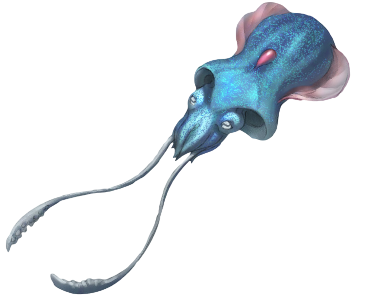 Tentacool, PokemonArvalis Wiki