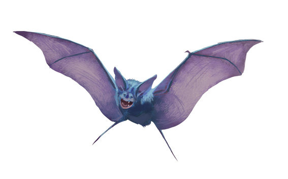 Category:Pokémon di tipo Veleno, PokemonArvalis Wiki