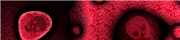 Difficulty mebrutal@3x.png