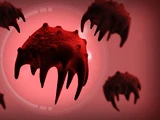 Necroa Virus